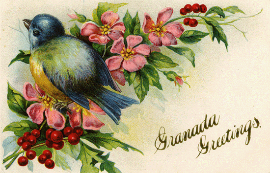 Granada Minnesota Souvenir Postcard